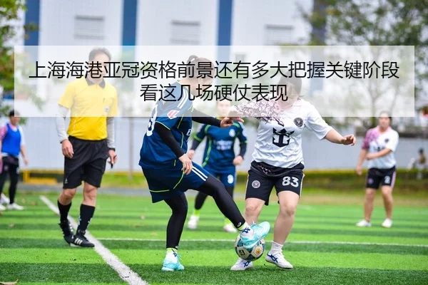 img_1781135632783_13_2_671.jpg